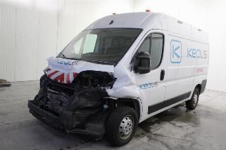 Unfallwagen Opel Movano  2024/3