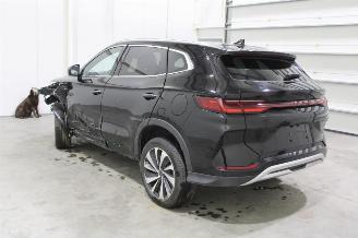 BYD Seal U  picture 4