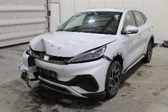 Schadeauto BYD Atto 3  2023/11