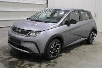 skadebil auto BYD Dolphin  2024/9