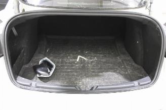 Tesla Model 3  picture 19