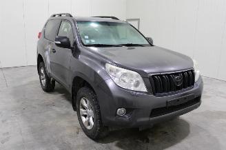 Toyota Landcruiser Land Cruiser picture 2
