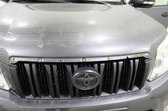 Toyota Landcruiser Land Cruiser picture 7