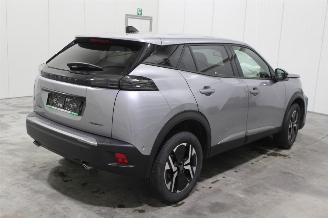 Peugeot 2008  picture 3