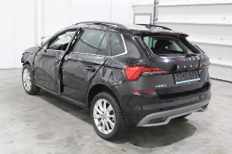Skoda Kamiq  picture 5