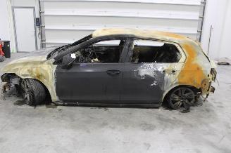 Volkswagen Golf  picture 6