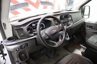 Ford Transit  picture 10