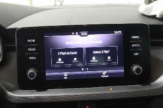 Skoda Kamiq  picture 13