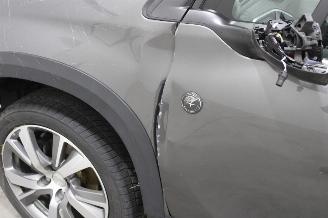 Peugeot 2008  picture 23