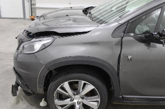 Peugeot 2008  picture 5