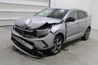 Avarii autoturisme Opel Grandland X 2024/4