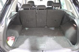 Volkswagen Tiguan  picture 16