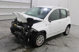 damaged passenger cars Fiat Panda  2019/9