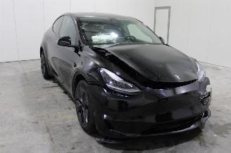 Tesla Model Y  picture 2