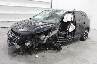 Dezmembrări autoturisme Opel Grandland X 2021/6