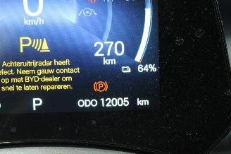 BYD Atto 3  picture 13