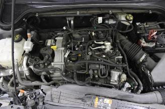 Ford Focus  picture 15