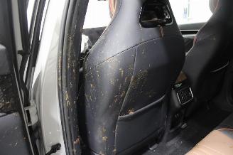 BYD SEAL  picture 24