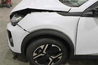 Peugeot 2008  picture 5