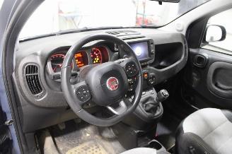 Fiat Panda  picture 7