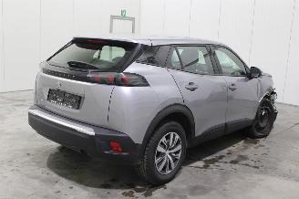 Peugeot 2008  picture 3