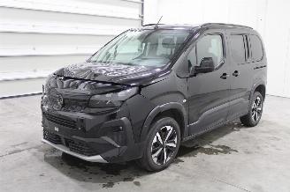 Avarii autoturisme Peugeot Rifter  2025/1