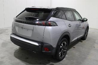 Peugeot 2008  picture 3