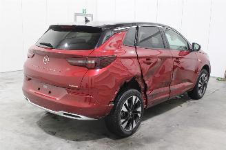 Opel Grandland X picture 3