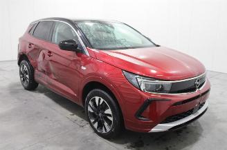 Opel Grandland X picture 2