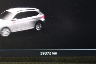 Skoda Kamiq  picture 13