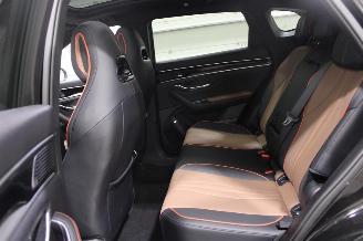 BYD Seal U  picture 13