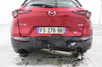 Mazda CX-30  picture 8
