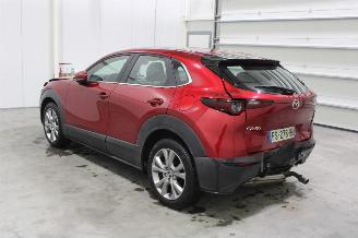 Mazda CX-30  picture 4