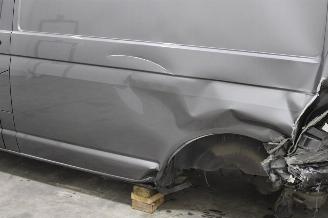 Volkswagen Transporter T6 picture 6