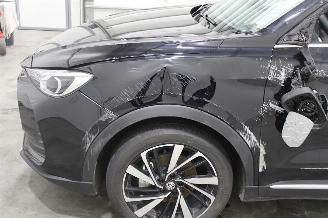 MG ZS  picture 6