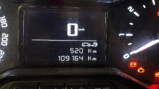 Citroën Berlingo  picture 9