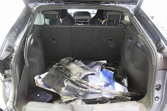 Cupra Tavascan  picture 22