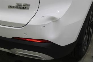 MG ZS  picture 8