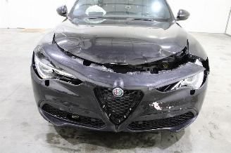 Alfa Romeo Stelvio  picture 7