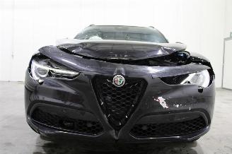 Alfa Romeo Stelvio  picture 20