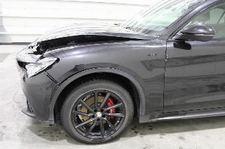 Alfa Romeo Stelvio  picture 6