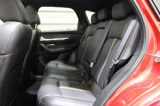 Mazda CX-60  picture 14