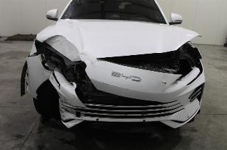 BYD Seal U  picture 6