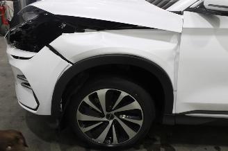 BYD Seal U  picture 5
