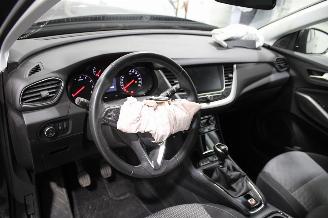 Opel Grandland X picture 10
