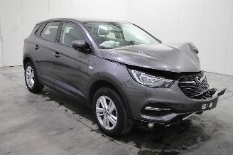 Opel Grandland X picture 2