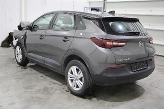 Opel Grandland X picture 4