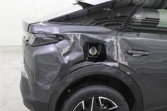 Peugeot 3008  picture 23