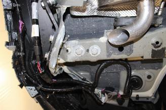 BYD Seal U  picture 17