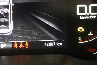 MG ZS  picture 13